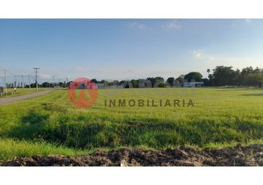 LOTES EN VENTA - COLONIA ANGELONI ( SANTA FE)